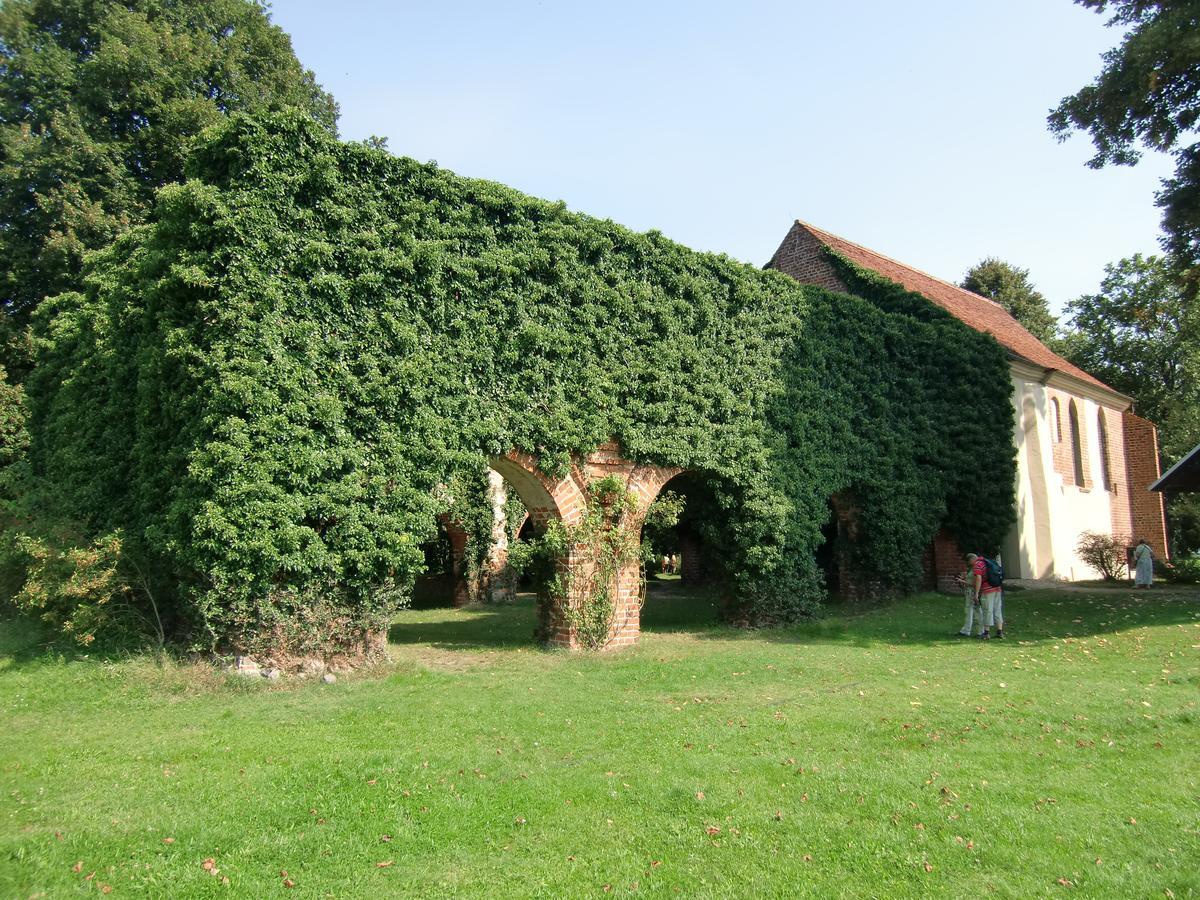 Hotel Zum Birkenhof Stechlin المظهر الخارجي الصورة